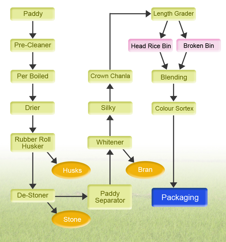 Process